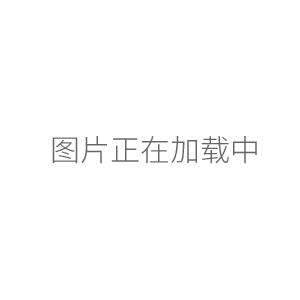 GM-0.33A隔膜真空泵